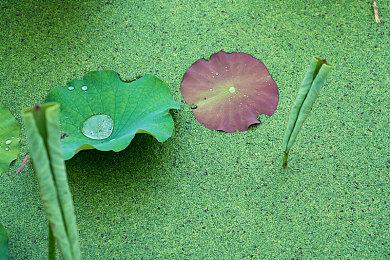 万代南梦宫宣布将开发布会 公布《偶像大师》最新游戏